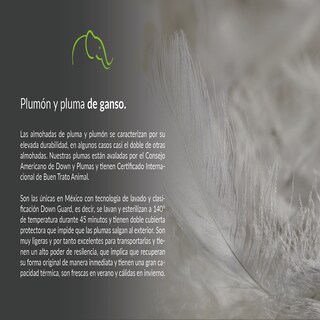 Foto 4 | Foto 4 | Almohadas Pluma de Ganso y Pato Certificadas Downguard 2 Piezas