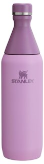 Foto 1 | Foto 1 | Botella De Agua Stanley All Day Slim Con Aislamiento De 600 Ml, Color Lila - Venta Internacional.