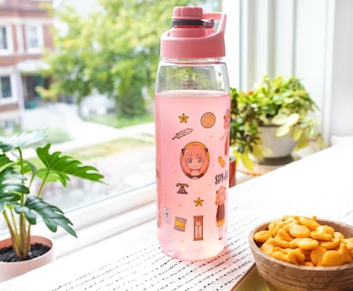 Foto 6 | Foto 6 | Botella De Agua Silver Buffalo Spy X Family Anya Icons 800 Ml - Venta Internacional.