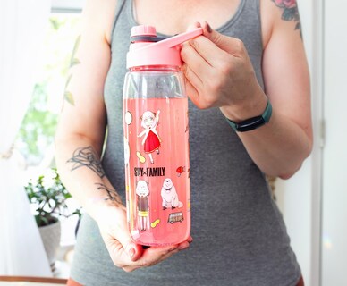 Foto 7 | Foto 7 | Botella De Agua Silver Buffalo Spy X Family Anya Icons 800 Ml - Venta Internacional.