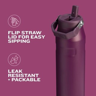 Foto 6 | Foto 6 | Botella de Agua Stanley 710 ml-Venta Internacional