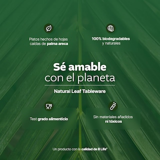 Foto 3 | Foto 3 | Set de Platos y Cubiertos B Life Biodegradables de Hoja de Palma 200 Piezas