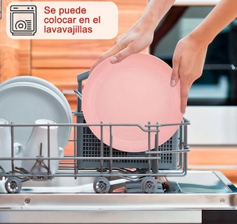 Foto 4 | Foto 4 | Juego De Vajilla Xtellar Paja De Trigo 56 Piezas