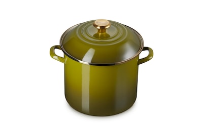 Foto 1 | Foto 1 | Stockpot Le Creuset Esmaltado Sobre Acero, 10 L, Verde Oliva - Venta Internacional.