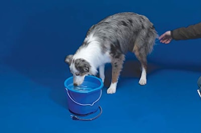 Foto 3 | Foto 3 | Cubeta Calefactada Api 9.5 L - Venta Internacional