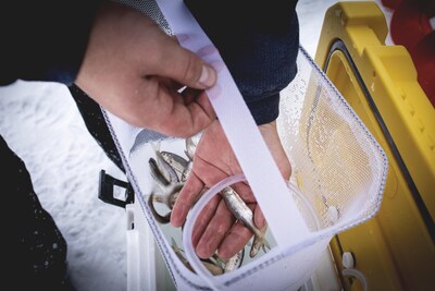 Foto 3 | Foto 3 | Bait Station Frabill Magnum Live Cebo Well De 12 3 Litros Color Blanco/amarillo - Venta Internacional.