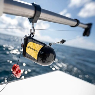 Foto 5 | Foto 5 | Downrigger Weight Cannon 2295182, 3,63 Kg, Negro Con Cinta Prismática - Venta Internacional.