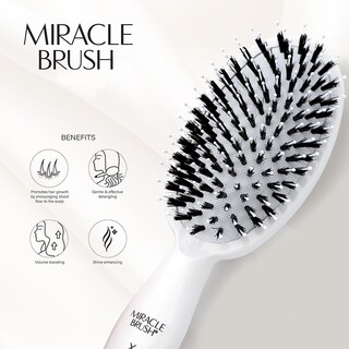 Foto 6 | Foto 6 | Cepillo De Pelo Con Forma De Paleta Hairtamin Miracle Para Todo Tipo De Cabello - Venta Internacional.