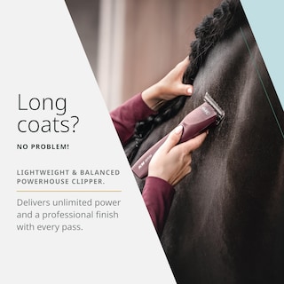 Foto 3 | Foto 3 | Cortadora Inalámbrica Horse Clipper Wahl Pro Animal Km Supera - Venta Internacional