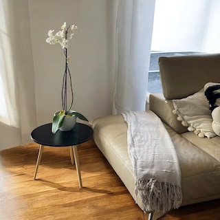 Foto 4 | Foto 4 | Mesa Auxiliar Redonda Negra 50cm Minimalista Mdf Moderna