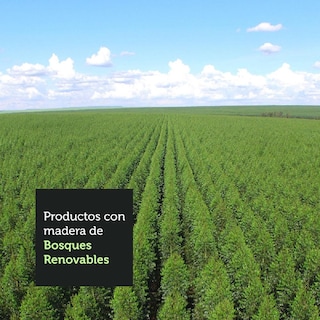 Foto 8 | Foto 8 | Alacena Madesa G2560209GL color Blanco 1 Puerta Rebatible 60 CM