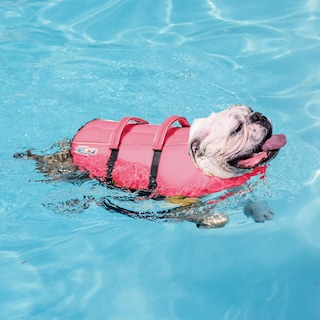 Foto 6 | Foto 6 | Chaleco Salvavidas Para Perros Outward Hound Granby Splash Rosa Talla S - Venta Internacional.