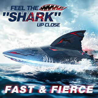 Foto 4 | Foto 4 | Barco Rc Deerc Fast Brushless Shark - Venta Internacional