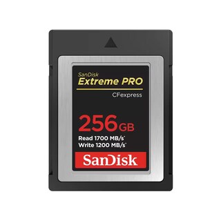 Foto 1 | Foto 1 | Tarjeta De Memoria Sandisk Extreme Pro 256gb Cfexpress Type-b - Venta Internacional.