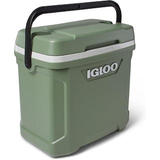 Foto 5 | Foto 5 | Hielera 30 Qt Verde Ecológico Igloo