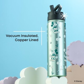 Foto 2 | Foto 2 | Botella De Agua Joyjolt Disney Retro Vintage De Acero Inoxidable 650 Ml - Venta Internacional.