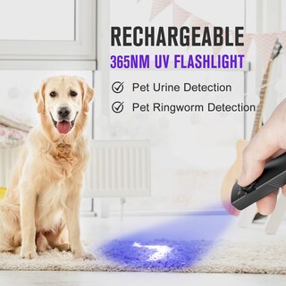 Foto 6 | Foto 6 | Linterna Olight Arkfeld Uv Recargable Edc 1000 Lm Led Blanco - Venta Internacional.
