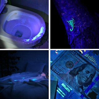 Foto 7 | Foto 7 | Linterna Uv Con Bolígrafo Wuben E19 365 Nm Detector De Luz Negra Ip68 - Venta Internacional.