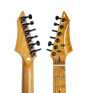 Foto 7 | Foto 7 | Guitarra Electrica Aureal Tipo Telecaster Jom-te Blue