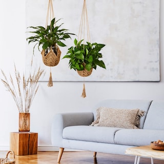 Foto 4 | Foto 4 | Colgador Para Plantas Tejido A Ganchillo En Yute Largo Para Macetas De 8 A 30 Cm Color Marrón - Venta Internacional.