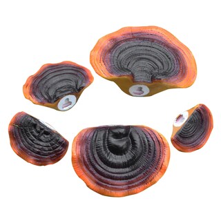 Foto 5 | Foto 5 | Estantes Flotantes, Adhesivos De Resina Para Pared, Con Forma De Cabaña, 5 Unidades - Venta Internacional.