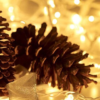 Foto 4 | Foto 4 | Luces Navideñas Hishiny, 100 Unidades, Pequeñas, Transparentes, 32 Pies (10 M) - Venta Internacional.