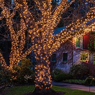 Foto 5 | Foto 5 | Luces Navideñas Hishiny, 100 Unidades, Pequeñas, Transparentes, 32 Pies (10 M) - Venta Internacional.