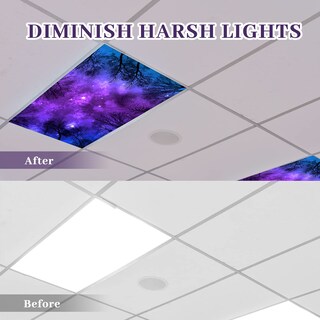 Foto 3 | Foto 3 | Paquete De 8 Fundas De Luz Fluorescente Patelai Para Aula De 4 X 2 Pies - Venta Internacional.