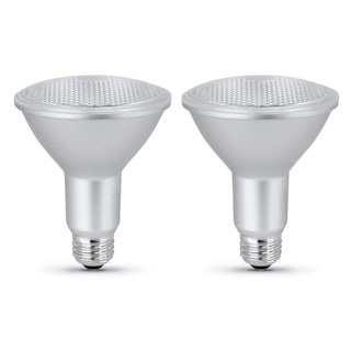 Foto 1 | Foto 1 | Bombillas Led Feit Electric Par30 L  8 3 W  750 Lm  5000 K  Regulables  Paquete De 2 - Venta Internacional.