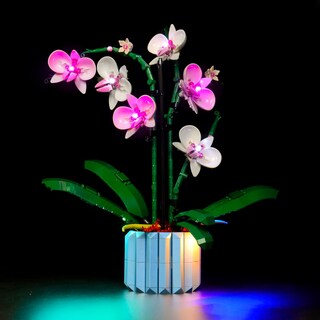 Foto 1 | Foto 1 | Kit De Iluminación Brickbling Para Lego 10311 Orchid Con Luces Led - Venta Internacional.