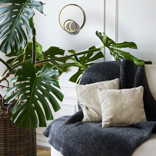 Foto 6 | Foto 6 | Lámpara Arbotante de Pared Led Cirquel Luxica Lighting Dorada