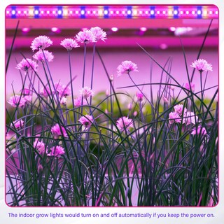 Foto 6 | Foto 6 | Luz Led Para Cultivo De Plantas Ipower, 20 W, Espectro Completo, 2 Tubos, 48 Led - Venta Internacional.