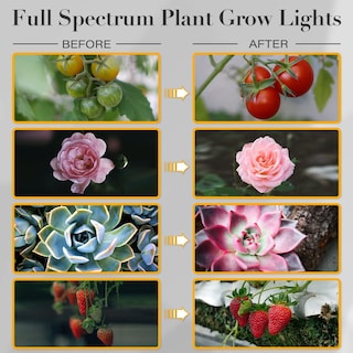 Foto 6 | Foto 6 | Lámpara De Cultivo De Plantas Clip Ipower De Espectro Completo Con 84 Led - Venta Internacional.