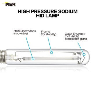 Foto 2 | Foto 2 | Bombilla Grow Light Ipower De 600 W Hps Para El Crecimiento De Plantas, Paquete De 6 - Venta Internacional.