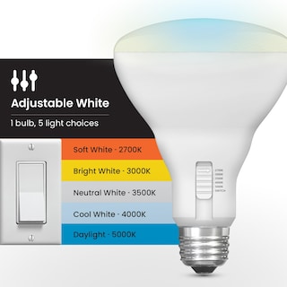 Foto 4 | Foto 4 | Bombilla Led Feit Electric Br30 15 5 W 1400 Lm 100 W 5 Colores - Venta Internacional.