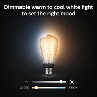 Foto 5 | Foto 5 | Bombilla De Filamento Edison Vintage Inteligente Philips Hue 7w St19 - Venta Internacional.