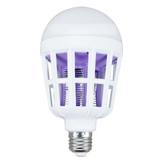 Foto 1 | Foto 1 | Foco Mata Insectos