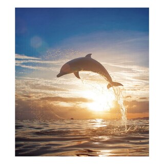 Foto 1 | Foto 1 | Funda Magnética Para Lavavajillas Naanle Ocean Jumping Dolphin 23x26 - Venta Internacional.