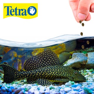 Foto 2 | Foto 2 | Alimento para Peces que se Alimentan de Plantas Tetra TE16447 Pleco Waffers 60 Gramos