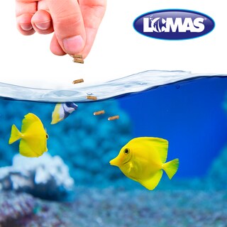 Foto 3 | Foto 3 | Alimento para Peces Tropicales Lomas WAT628 Mini Pellets 350 Gramos