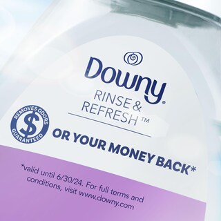 Foto 3 | Foto 3 | Eliminador De Olores Y Suavizante De Ropa Downy Rinse & Refresh - Venta Internacional.