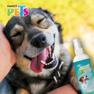 Foto 2 | Foto 2 | Spray Dental Fancy Pets FL3774 Antisarro para Perro 125 ml