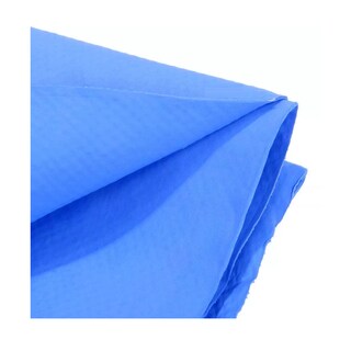 Foto 2 | Foto 2 | Toalla Ultra Absorbente Para Estética Canina Eo Safe Imports Esi-12175 Azul