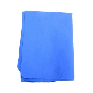 Foto 3 | Foto 3 | Toalla Ultra Absorbente Para Estética Canina Eo Safe Imports Esi-12175 Azul