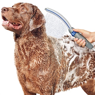 Foto 1 | Foto 1 | Accesorio De Ducha Para Perros Waterpik Pet Wand Pro Ppr-252e Azul/gris - Venta Internacional.