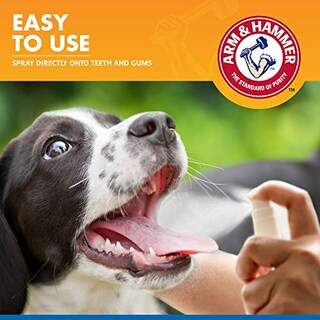 Foto 3 | Foto 3 | Pulverizador Dental Con Brazo Y Martillo Para Mascotas Y Perros Que Controlan El Sarro, 120 Ml - Venta Internacional.