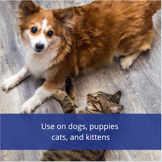 Foto 4 | Foto 4 | Repelente De Insectos Farnam Flys-off Para Perros Y Gatos, 180 Ml - Venta Internacional.