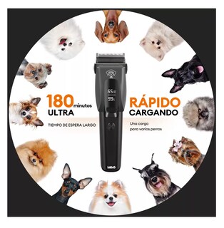 Foto 2 | Foto 2 | Maquina Para Cortar Pelo De Perro Lab.g Rasuradora Recargable, Negro