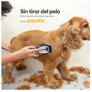 Foto 4 | Foto 4 | Kit Rasuradoras Para Perros Y Gatos Máquina De Cortar Pelo Belug  Plata