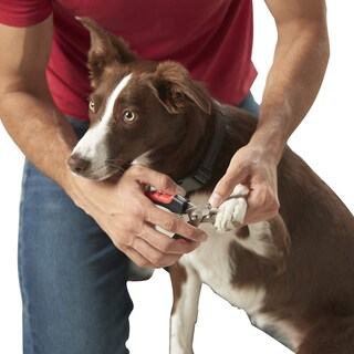 Foto 1 | Foto 1 | Franklin Pet Supply — Cortaúñas Para Perros Y Gatos Con Segu - Venta Internacional.